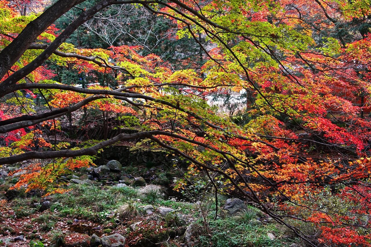 파크골프 예약 방법 총정리 전국 파크골프장 예약 방법
