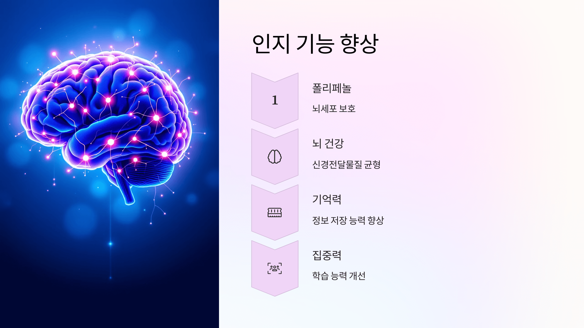 타트체리 사진입니다.