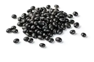 검은콩