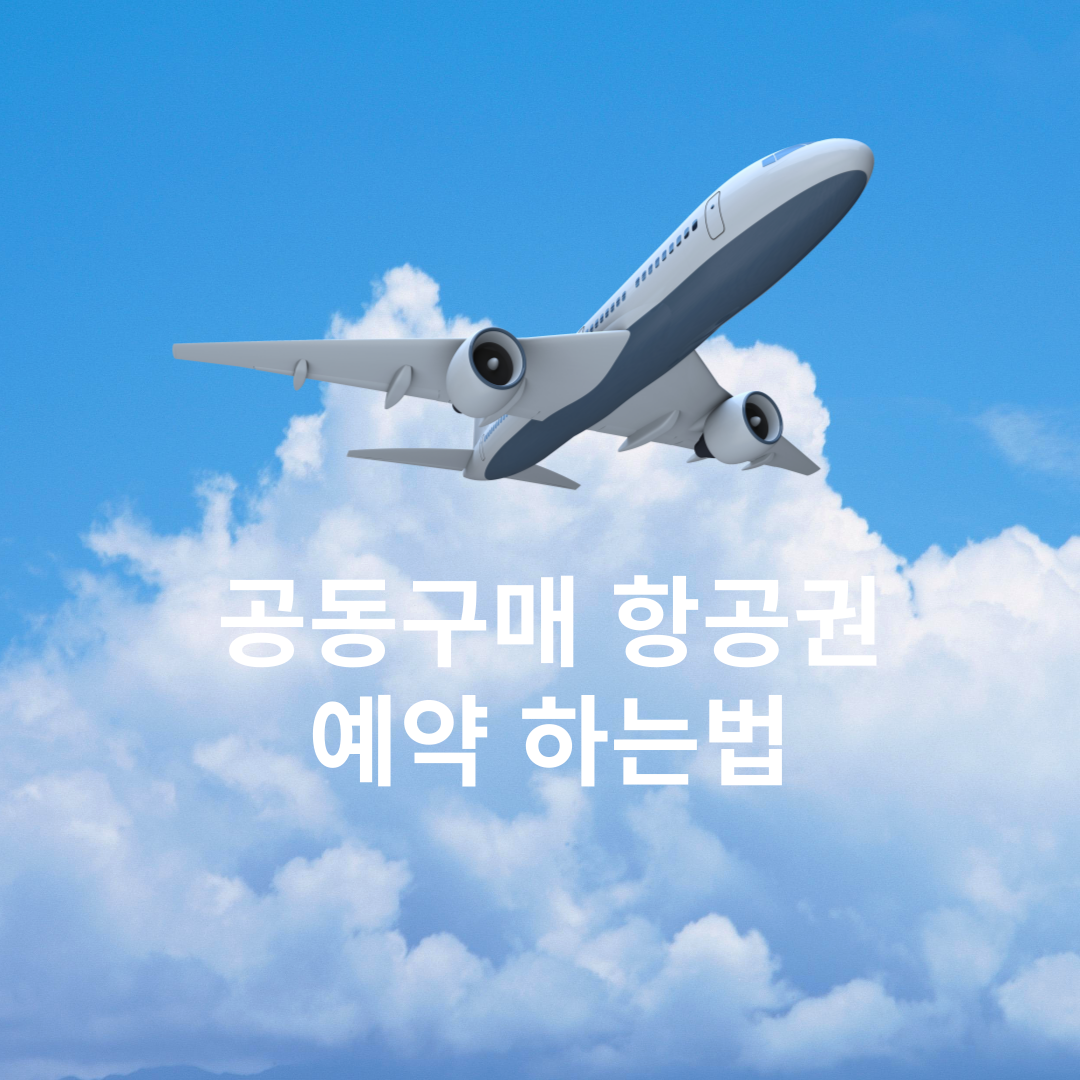 공동구매 항공권 예약 바로가기