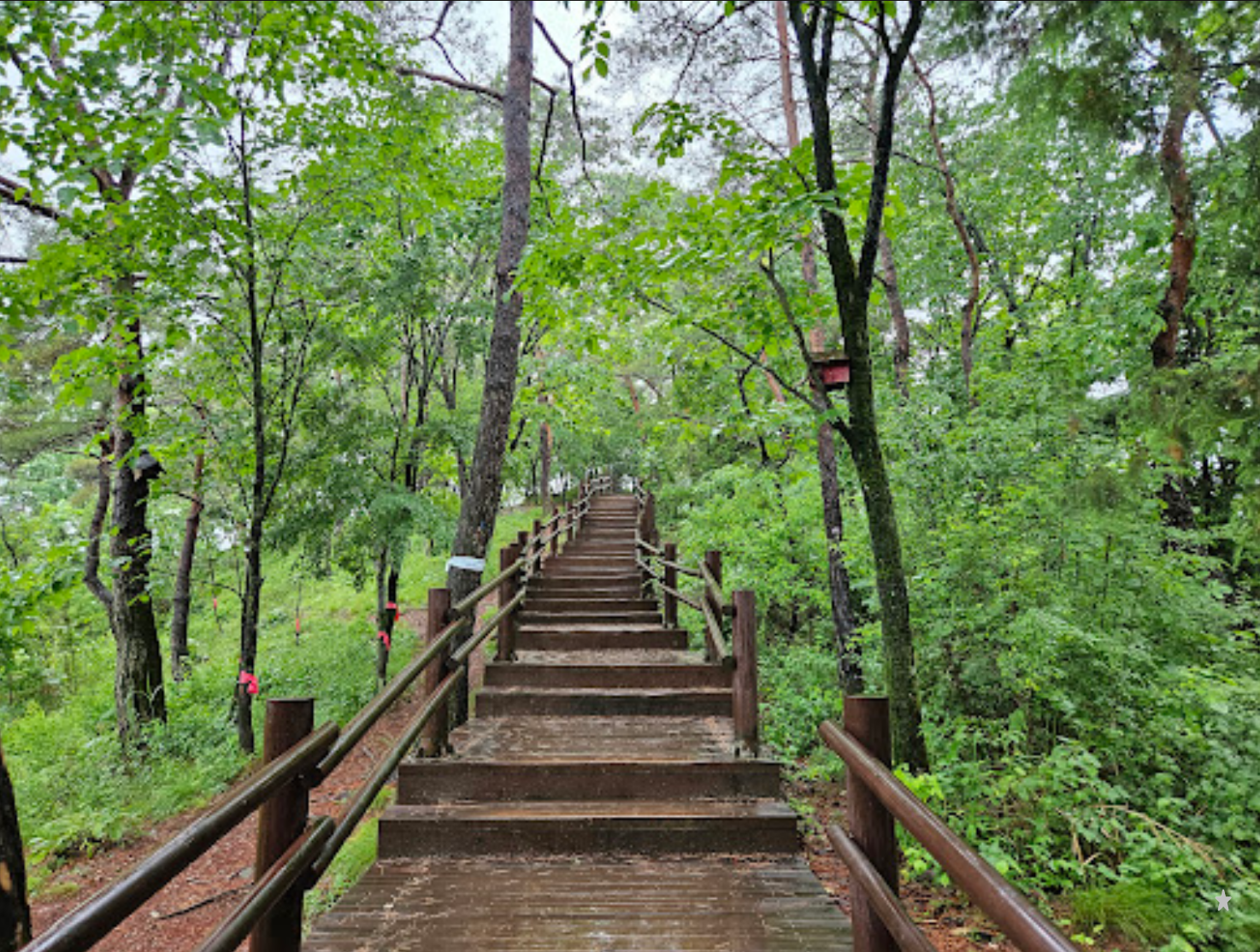 영월 청령포 단종 유배지