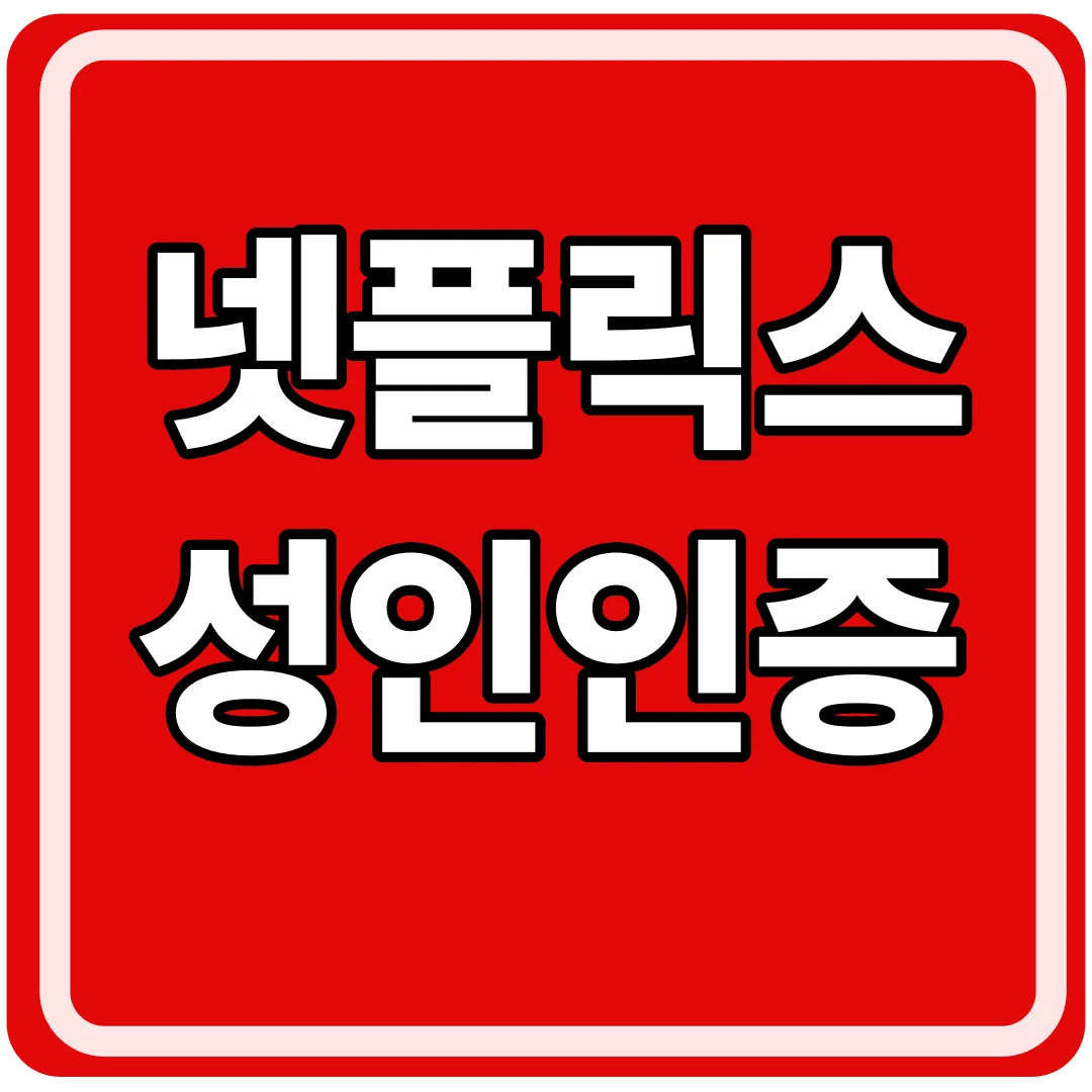 넷플릭스 성인인증