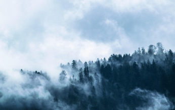 청와대 국민청원홈페이지 지금 확인 16