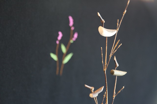 덕수궁 관련 이미지