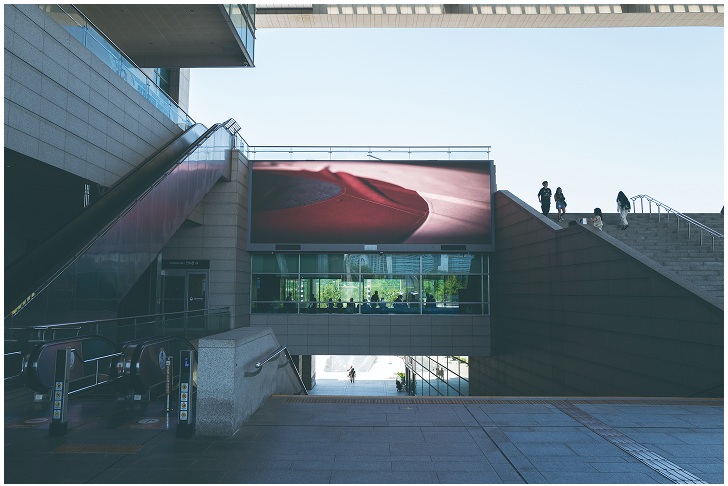 2025 광복절 전시 완벽가이드, 무료관람 꿀팁까지