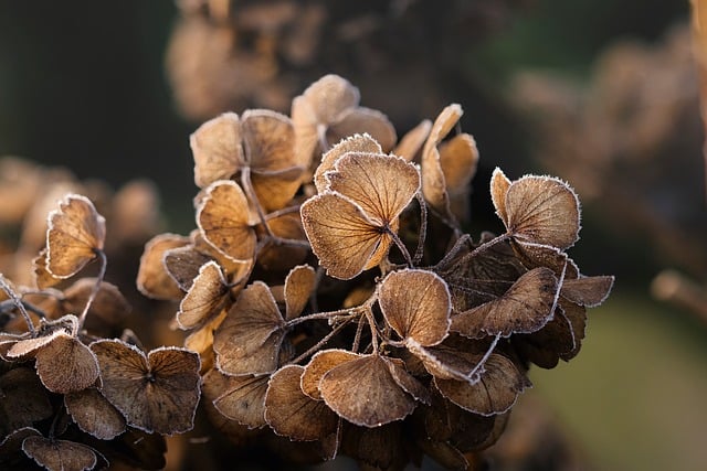 가족 간 계좌이체