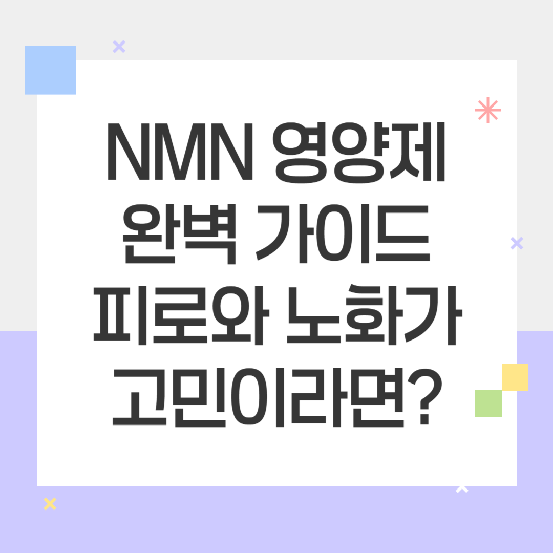 NMN 영양제