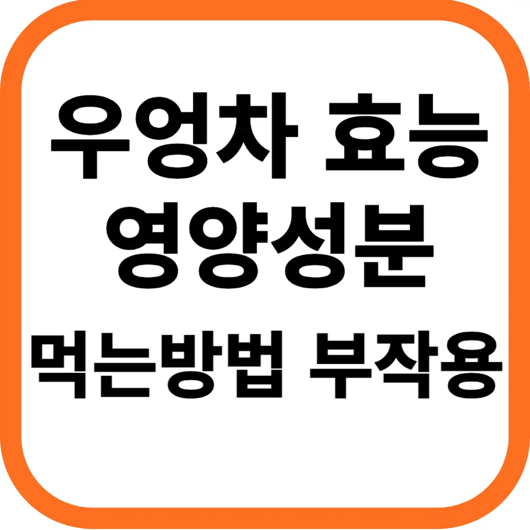우엉차 효능과 영양성분, 먹는 방법 및 부작용