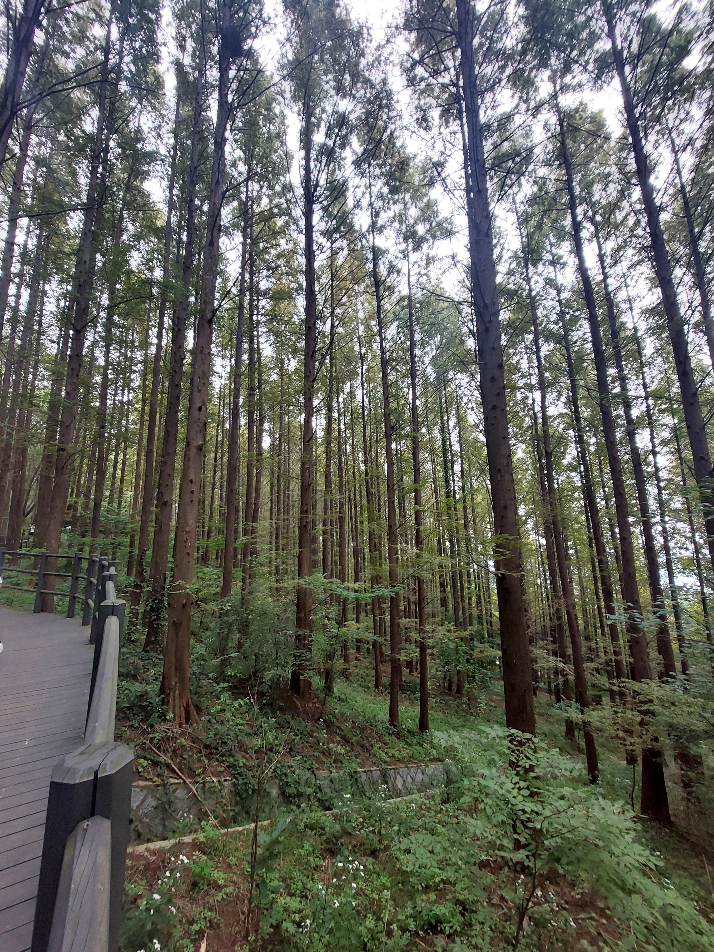 안산