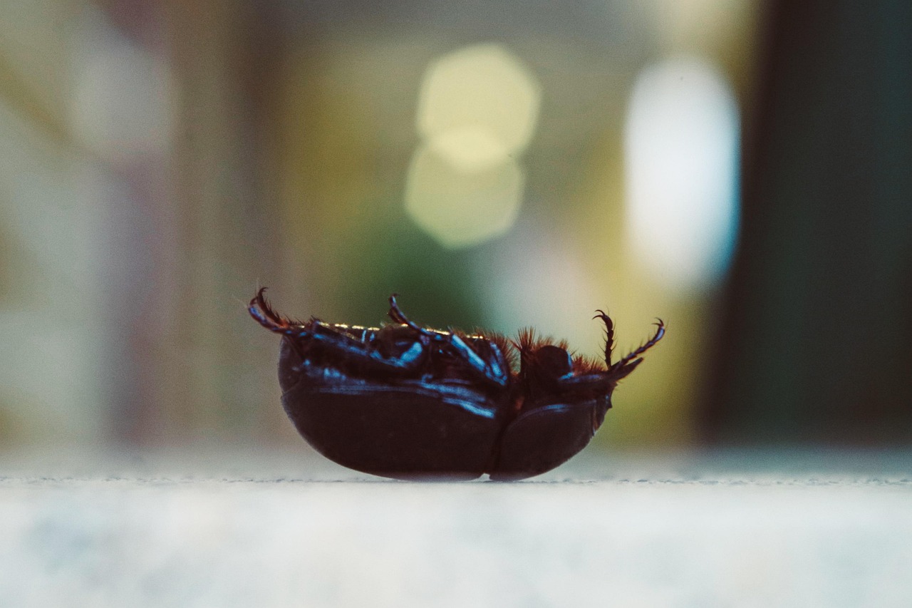 무기력해 보이는 사진