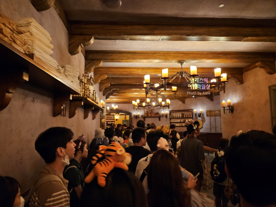 도쿄 디즈니랜드 티켓 가격 패스트트랙 어플 DPA 미녀와 야수 인기 어트랙션 후기