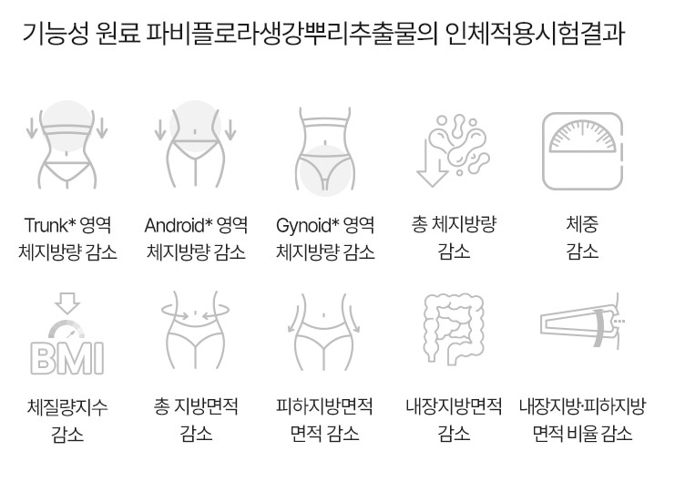 파비플로라-생강뿌리-추출물의-인체적용-시험결과-내용입니다.
