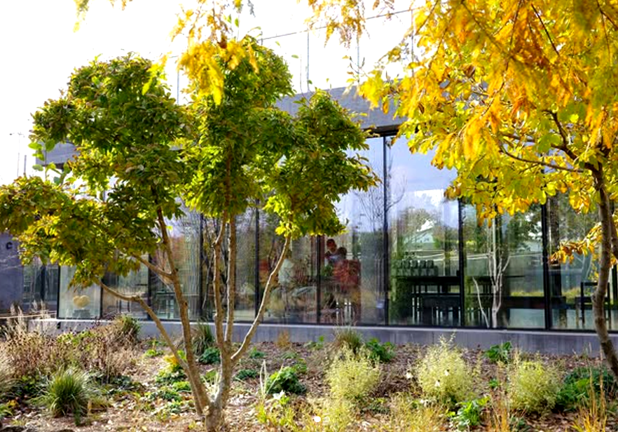 특색있고 아름다운 민간 정원 30선 추천 여행 - 09. 제주 베케정원