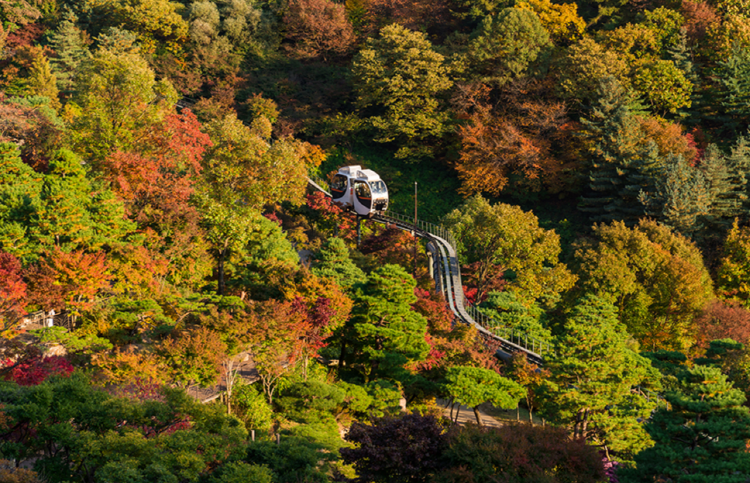 화담숲 모노레일