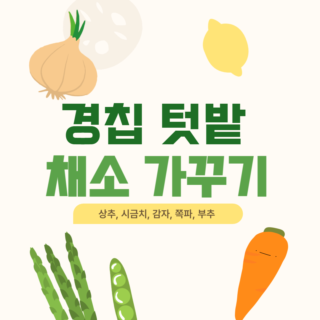 경칩 텃밭 채소 재배 가이드: 상추, 당근, 쪽파 등 심기 좋은 작물