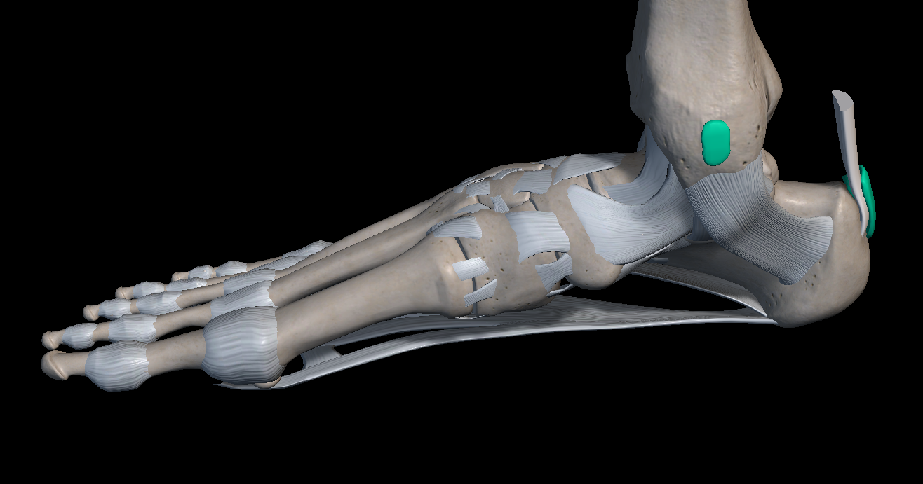 발목 안쪽 통증 원인 치료법