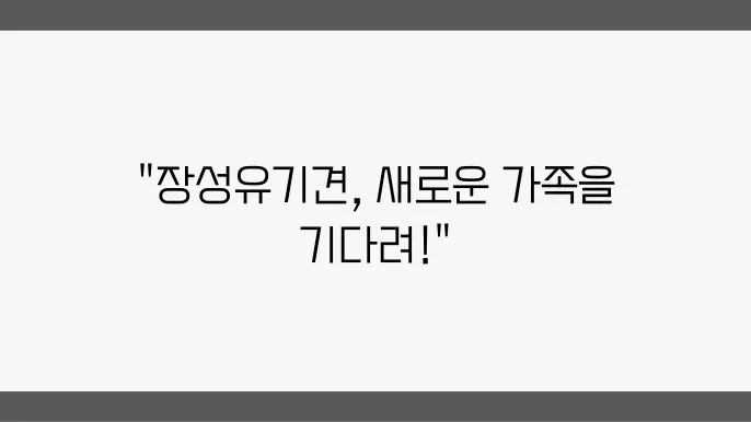 유기견보호소 믿욆 분양받아요 장성유기견보호소
