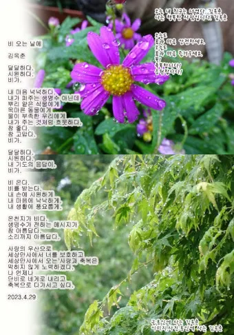 봄비 인사말 이미지 비오는날 일러스트_9