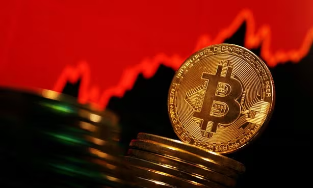 png 파일 이미지