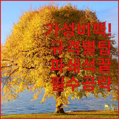 가성비 캠핑용 단조팩 고르는 법 규격..