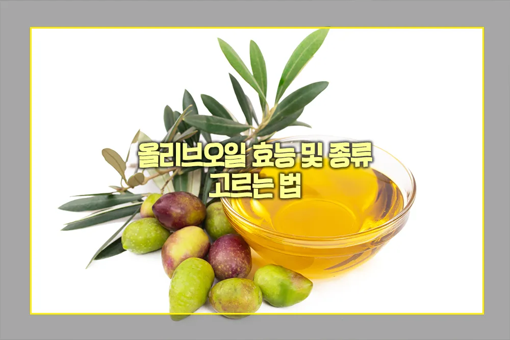 올리브오일 효능 종류 고르는 법