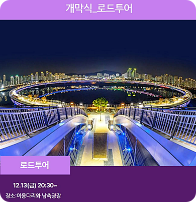  세종시 빛 축제 