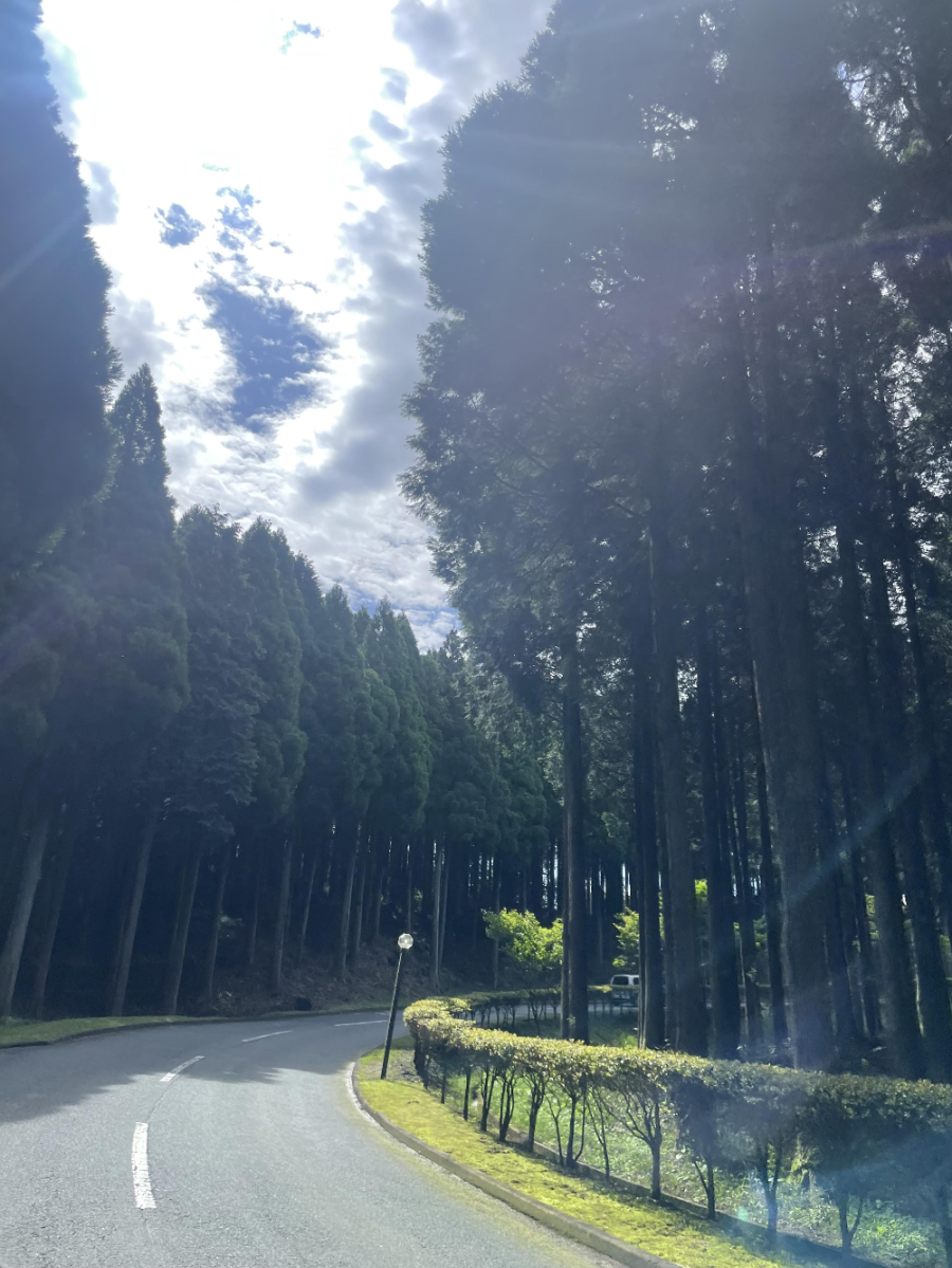 아소 리조트 그랜드브리오 호텔 골프장 가는길