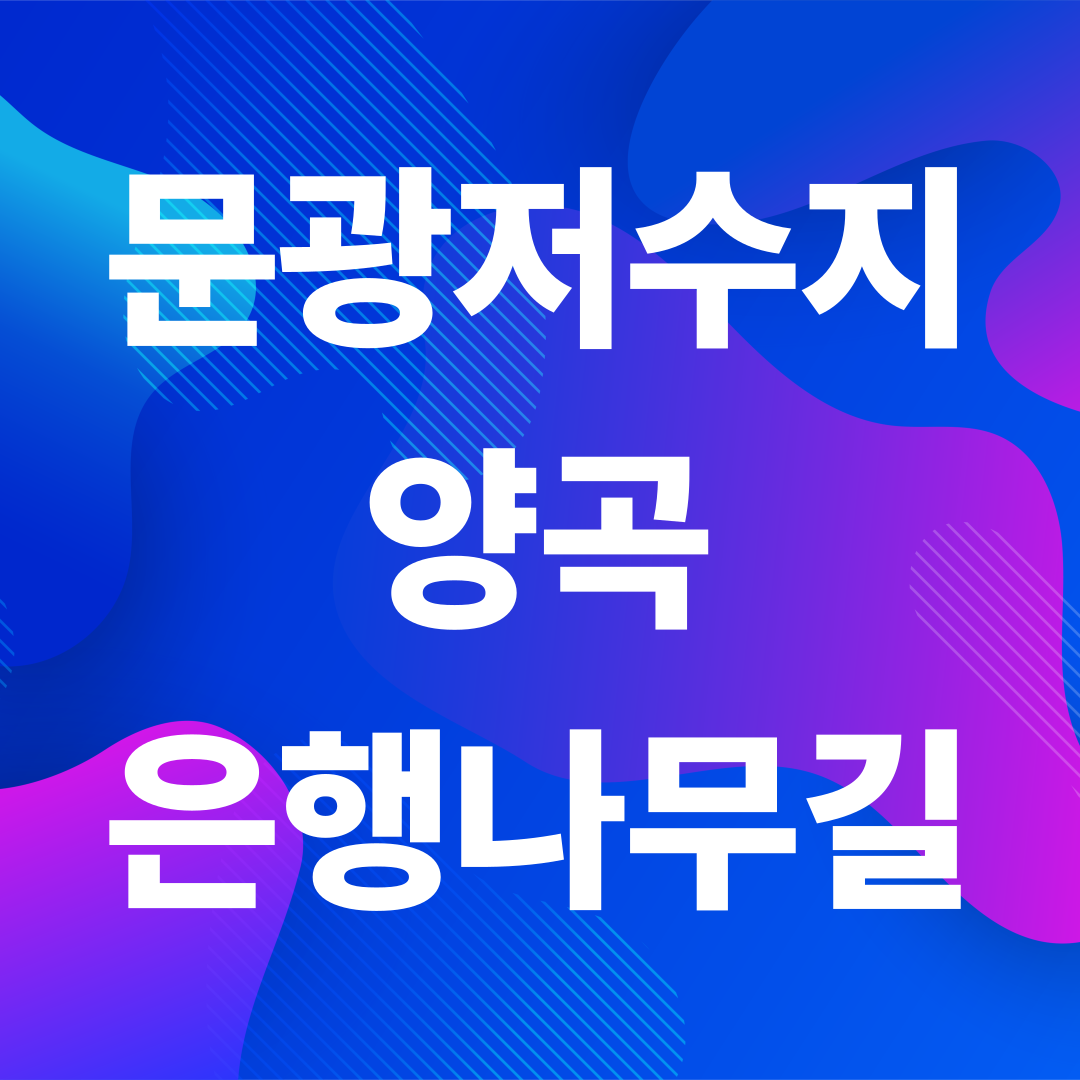 괴산 문광저수지 양곡 은행나무길