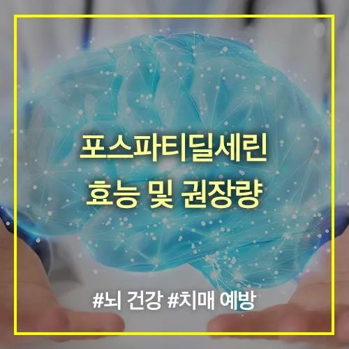 포스파티딜세린 효능 썸네일