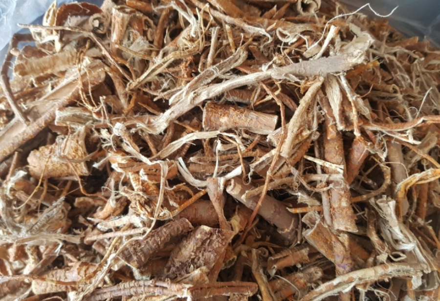 야생에서 채취를 한 뽕나무의 뿌리를 깨끗하게 세척한 후에 동그란 그릇에 수북하게 담아두고 찍은 사진