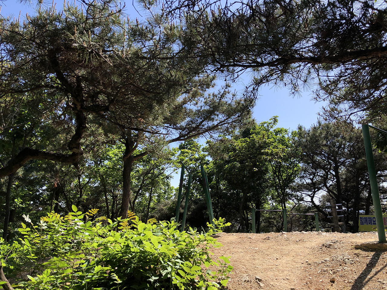 체육공원