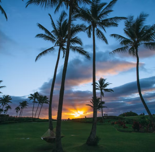 하와이 4박5일 여행 추천 – 와이키키 중심 일정