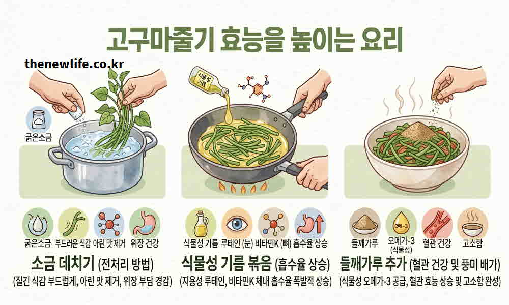 고구마줄기 효능 높이는 요리