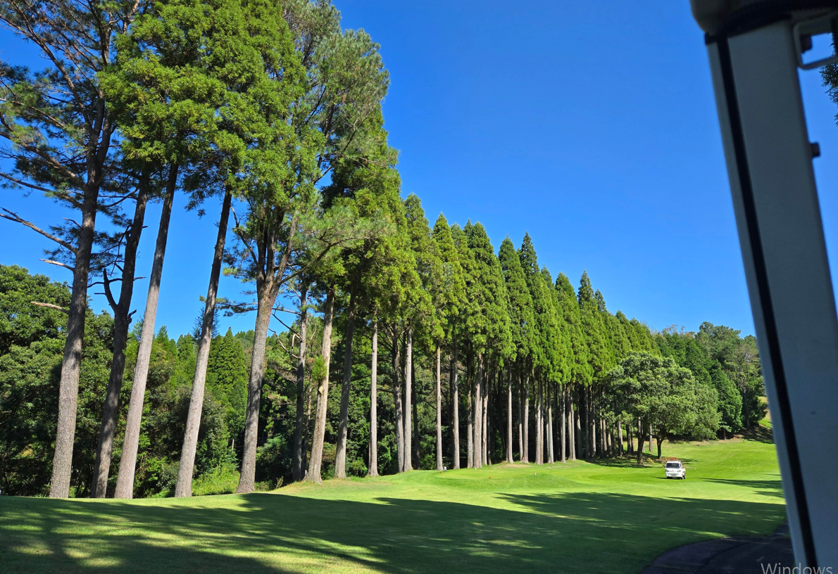 울창한 숲과 나무 가고시마 골프장