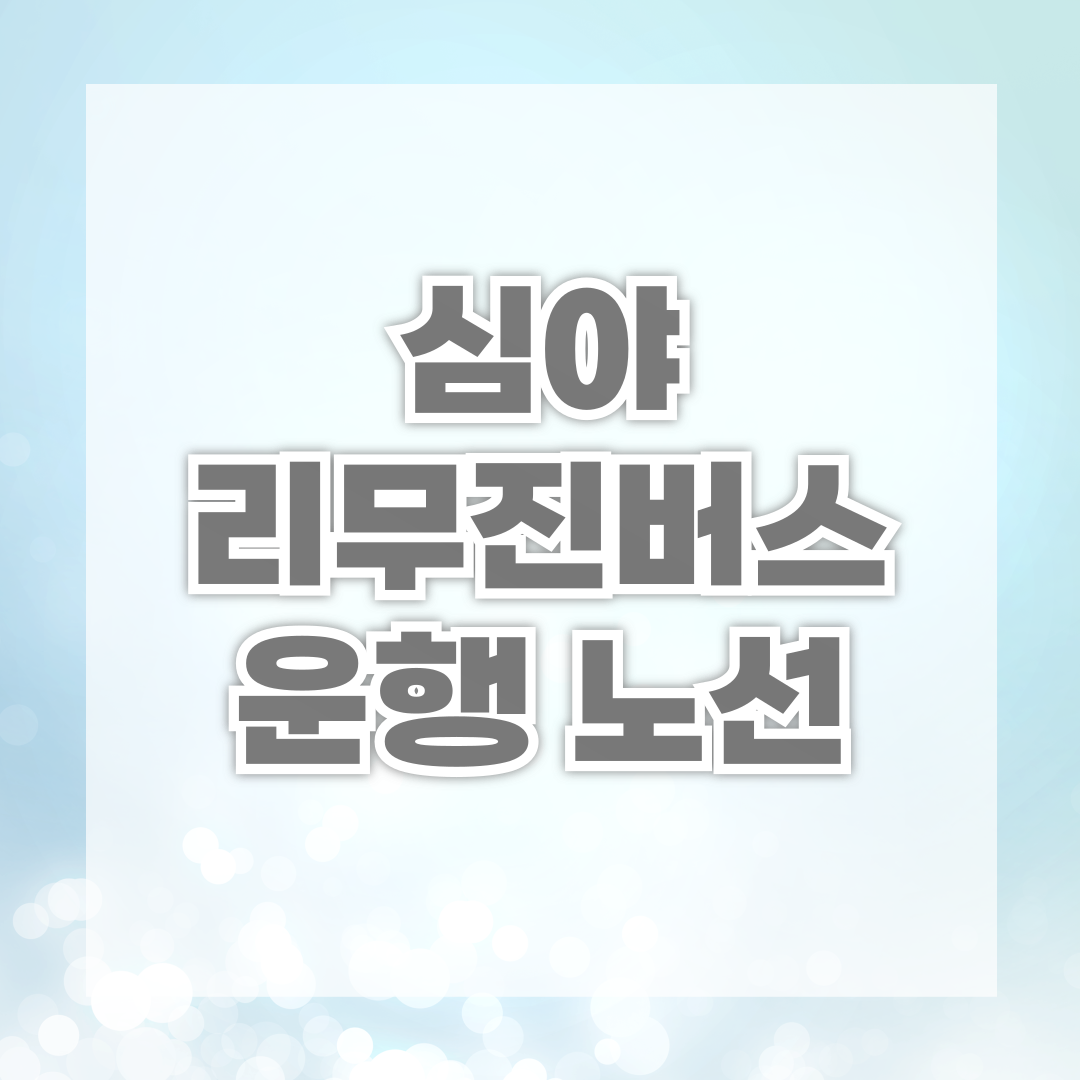 심야 리무진버스 운행 노선