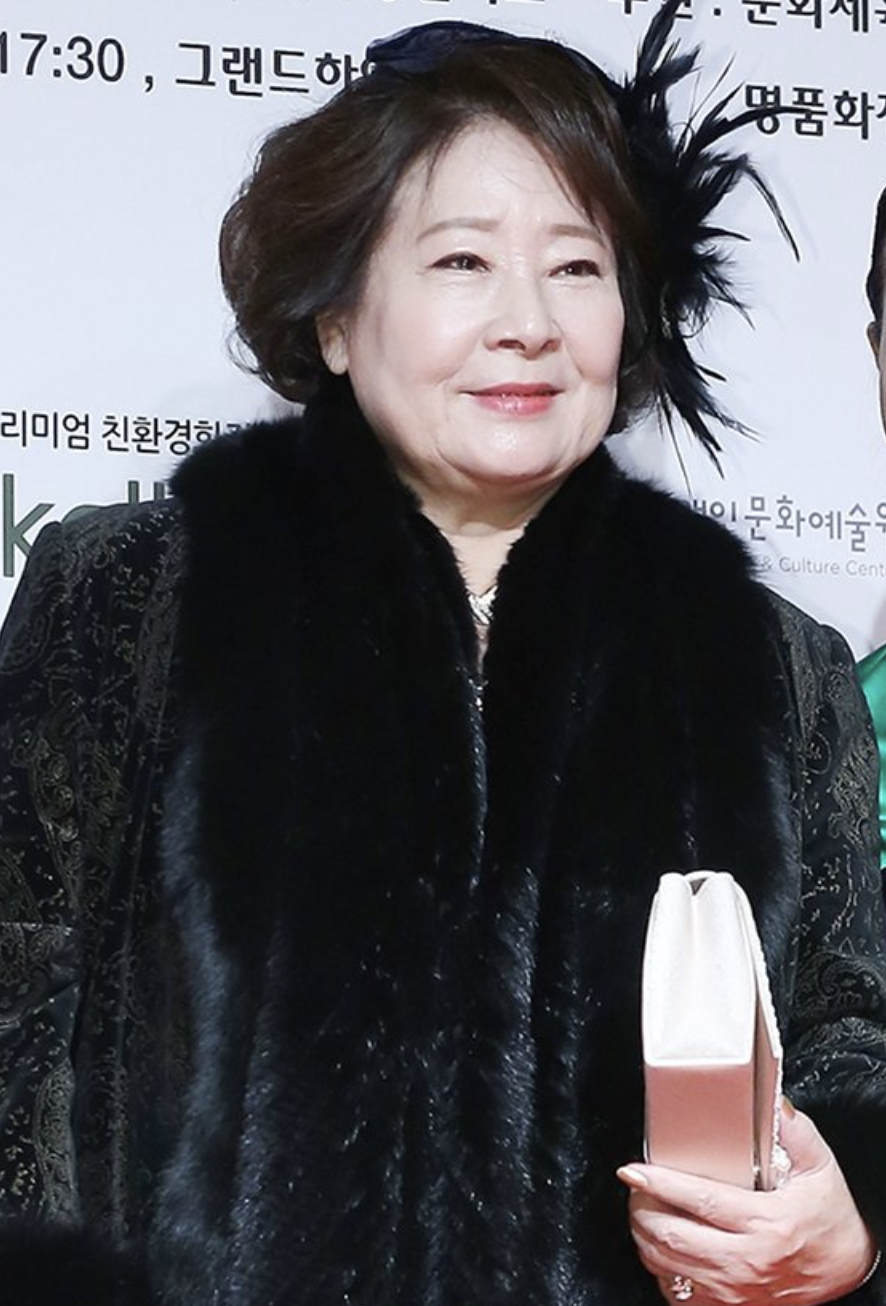 정혜선 활동