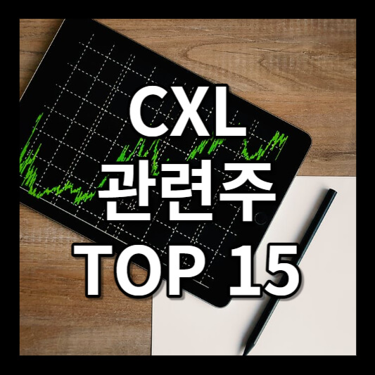 cxl 관련주 테마주