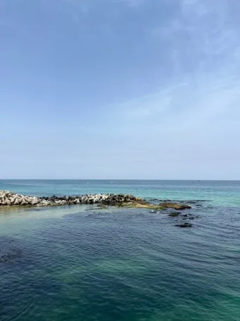 강릉 맛집 추천 여행코스에 포함하기 좋은 식당 리스트_26