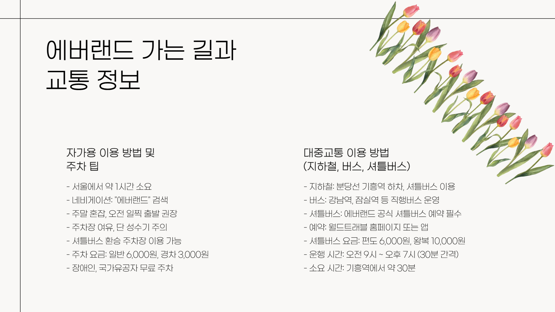 에버랜드 튤립축제 일정과 꿀팁