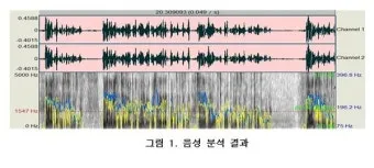 음성의 분석과 합성의 원리 소리 구조와 기술적 응용_11