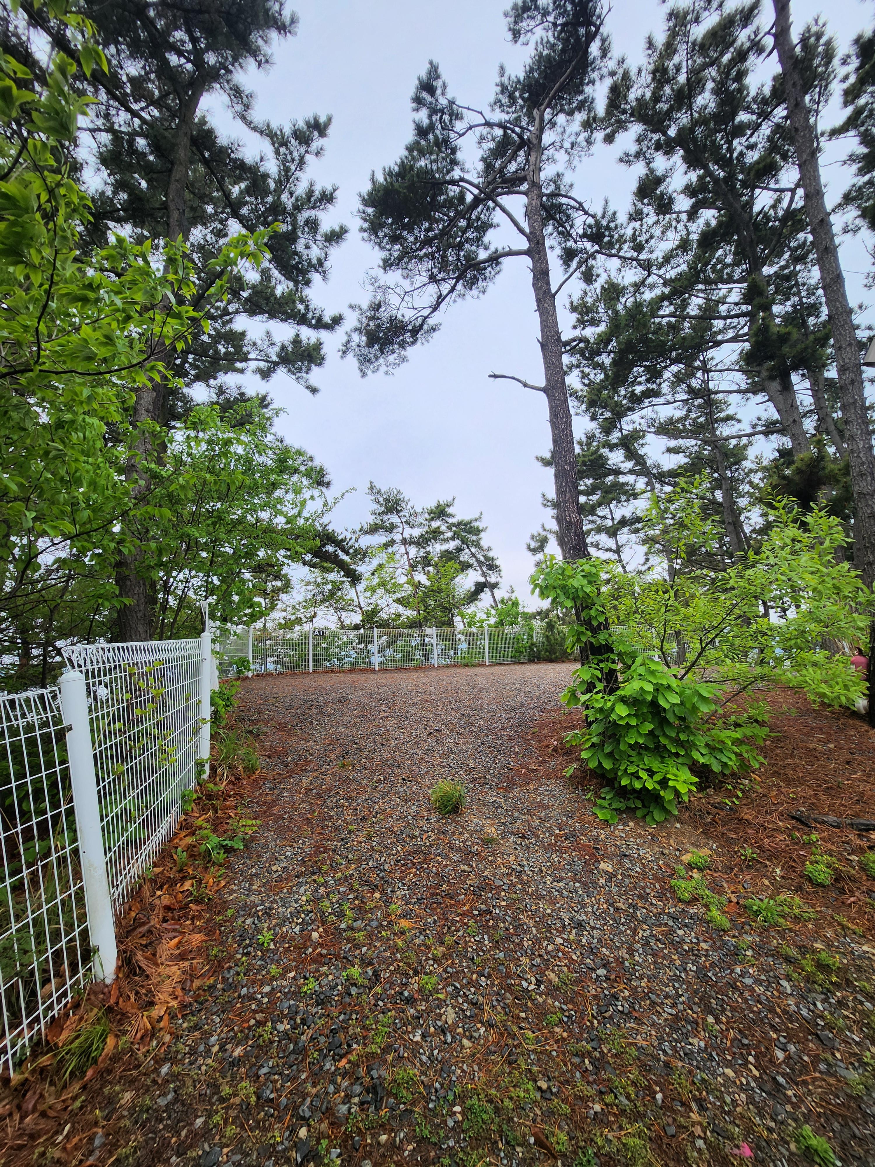 태안별빛캠핑장 명당찾기