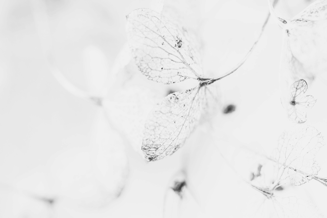 제사상 차리는 법