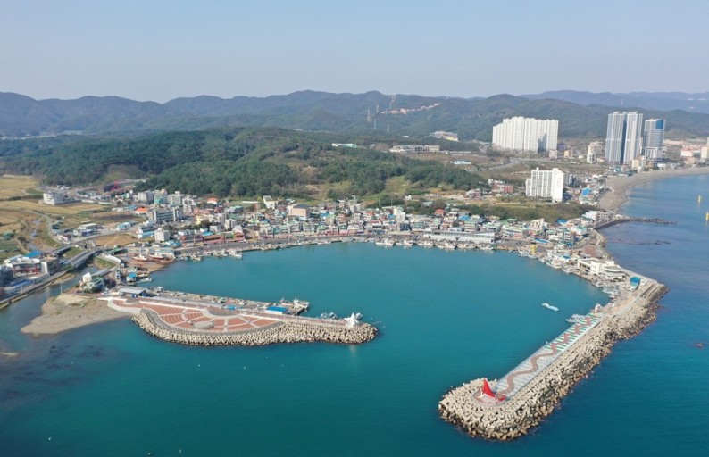 정자항