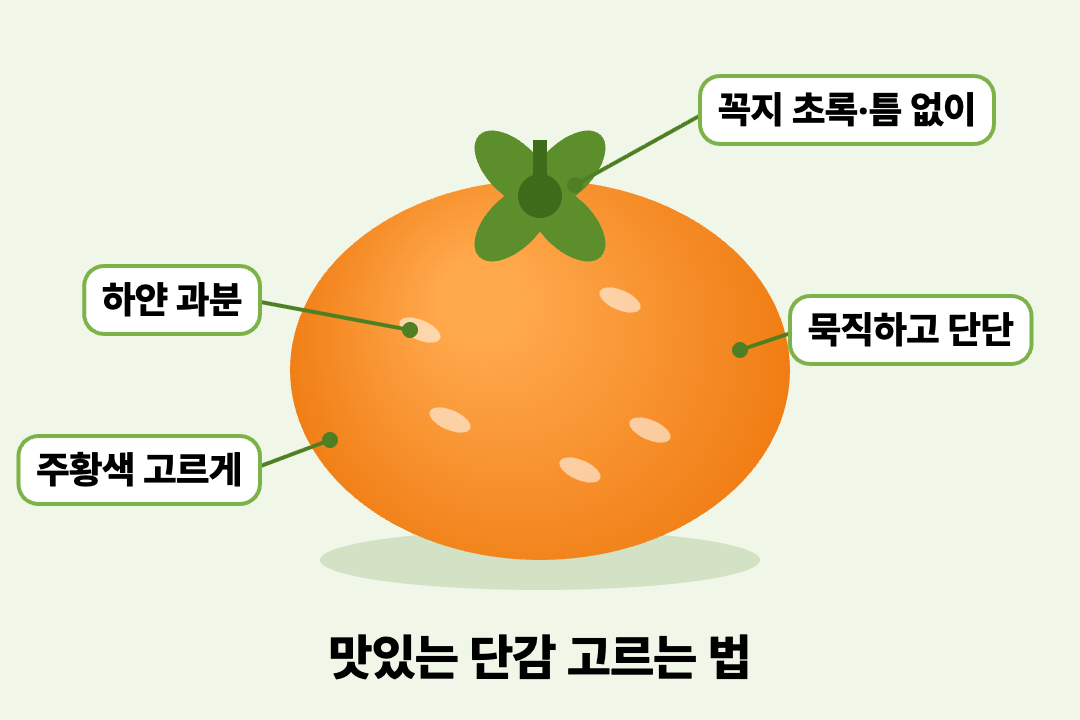 제철 단감 고르는 법 보관법 떫은감 차이 정리