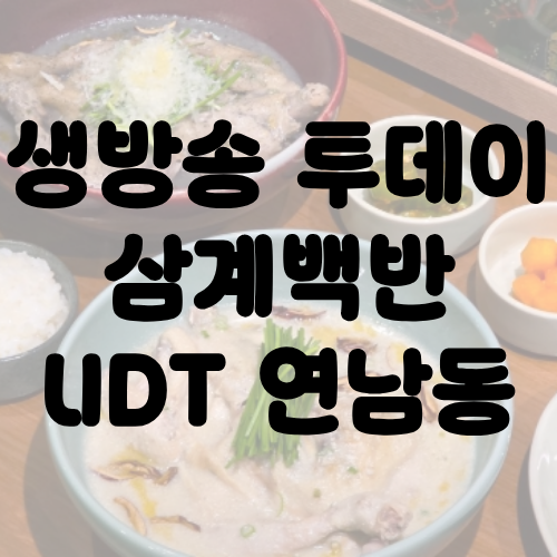 생방송 투데이 연남동 삼계백반 UDT