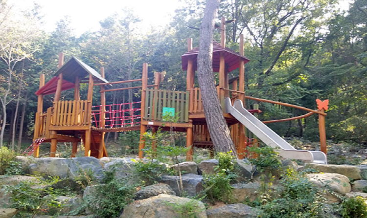 보령 무궁화수목원