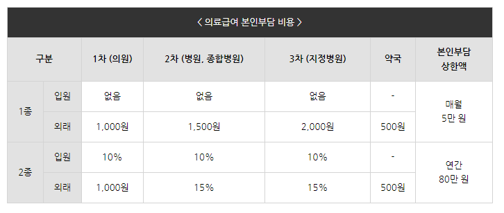 의료급여 본인부담 비용 안내 표