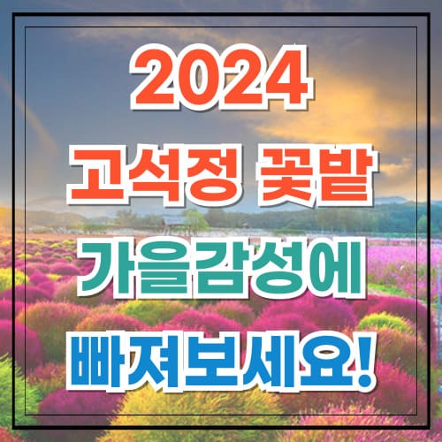 2024 고석정 꽃밭 가을 감성에 빠져보세요