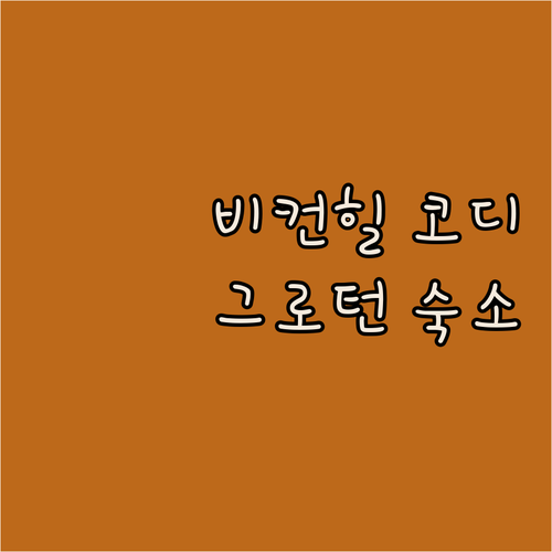 보스턴 자유여행 비컨 힐 옷차림 준비..
