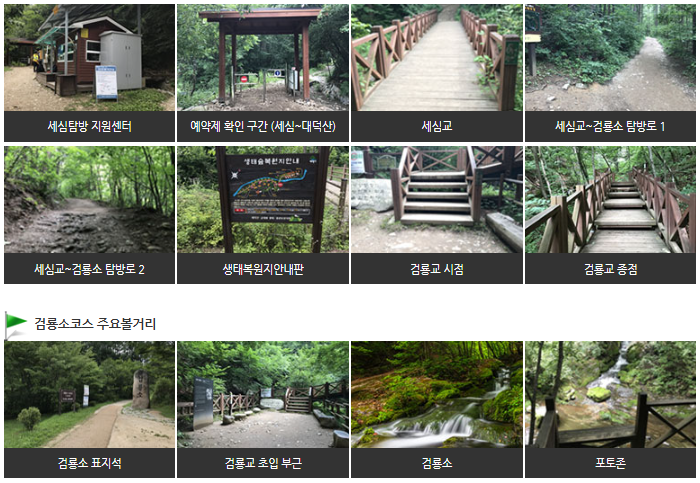 태백산 산행코스, 검룡소코스3